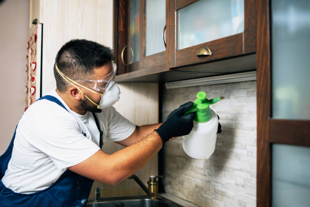 Best Flea Control Services  in Weatherford, OK