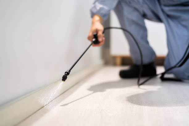 Best Best Pest Control Companies  in Weatherford, OK