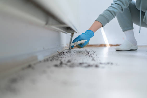 Best Pest Prevention Services  in Weatherford, OK